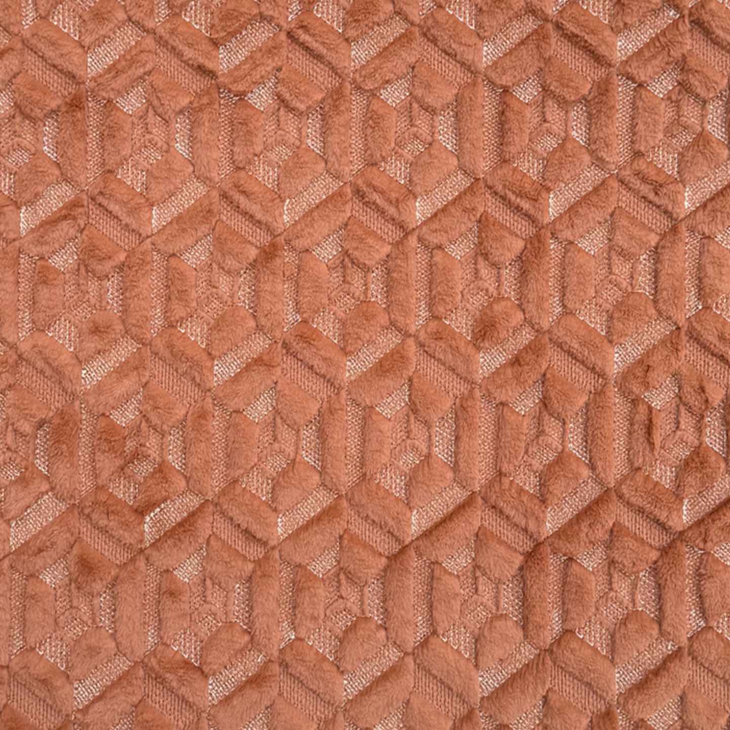 Cocoon Soft